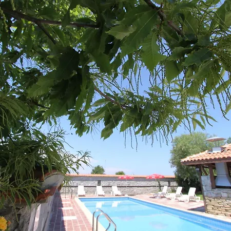 فندق Asti Arthotel سينيموريتس